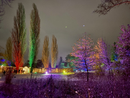 Christmas_Garden_2023.jpg