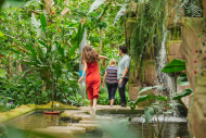 Botanischer_Garten_Wasserfall(c)Christiane_Patić.jpg